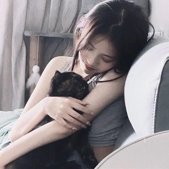 猎狐娇娃